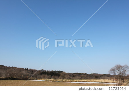 冬天領域和藍天 11723934