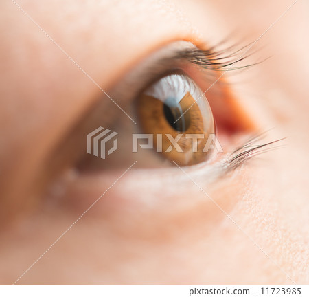 眼睛 11723985
