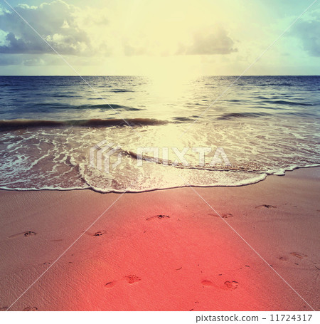 Beach Beach 11724317