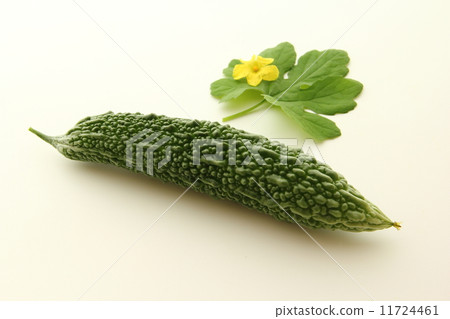 苦瓜 苦瓜 11724461