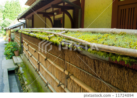 竹籬笆 竹籬笆 11724894