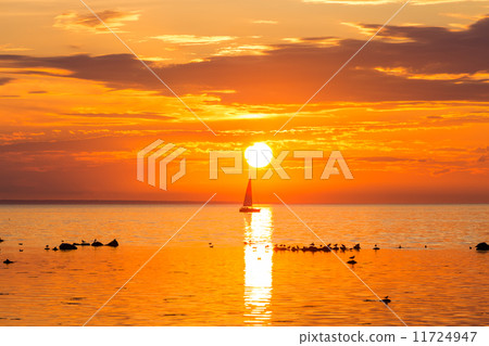 Sailing ship yachts in the sea near coastline of Tallinn Sailing ship yachts in the sea near coastline of Tallinn 11724947