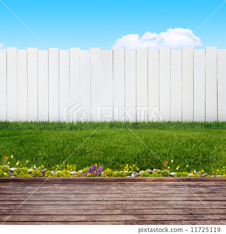 backyard in summer backyard in summer 11725119