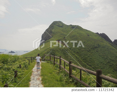 Toward the hill 11725342