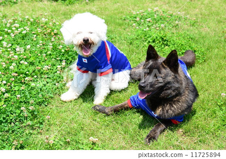 一個好朋友 11725894