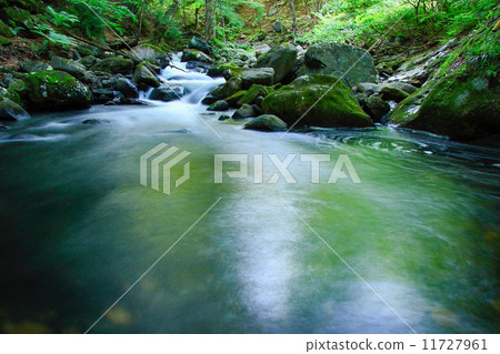 Green shade Green shade 11727961