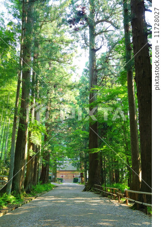 Sekiyama Chusonji Temple白山神社入口 11728027