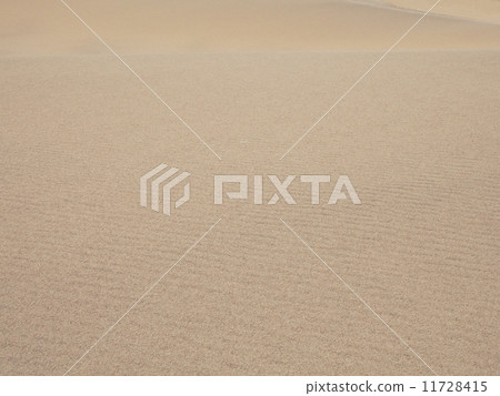 Sand dune 11728415