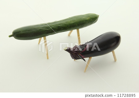 精神馬 精神馬 11728895