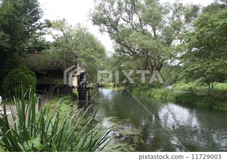 Azumino / Water mill 11729003