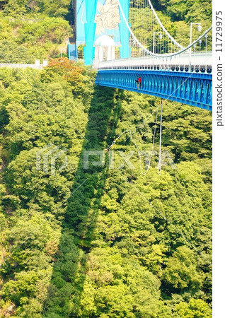 邦奇 -  11729975