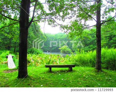 Green bench and bridge Green bench and bridge 11729993
