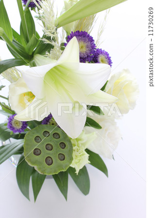 White lot arrangement of lotus fruit (vertical part) White lot arrangement of lotus fruit (vertical part) 11730269