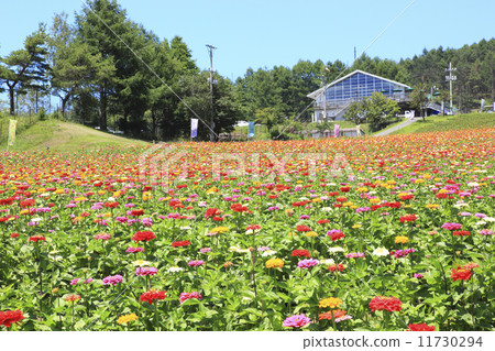 Fujimi Highland Hanazono Fujimi Highland Hanazono 11730294