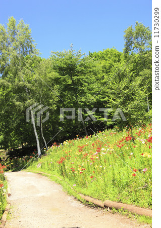 A path leading to Yurien A path leading to Yurien 11730299