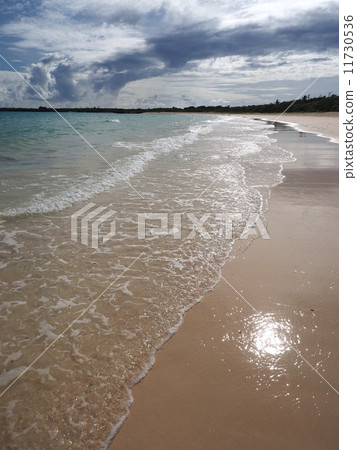 在海灘上的海灘 11730536