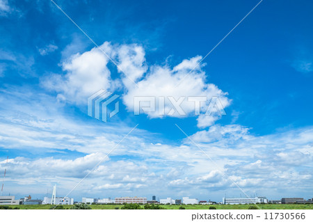 Summer sky Summer sky 11730566