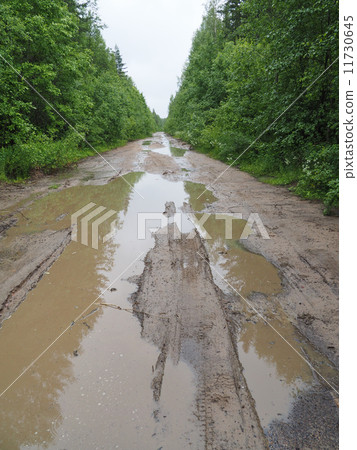 dirt road in the woods 11730645