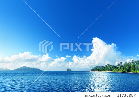 beach on La Digue island, Seychellas 11730897