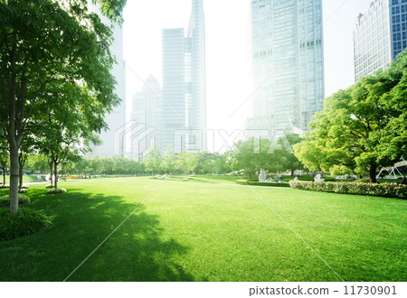 park in  lujiazui financial centre, Shanghai, China 11730901