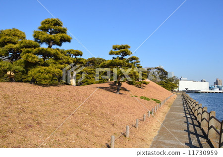 Hamarikyu (Tokyo Hamarikyu Garden) 11730959