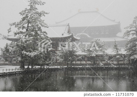 Snow scenery Todaiji Temple Buddha statue and mirror pond 11731070