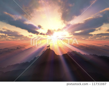 从高高的山顶上看日出 早晨的阳光