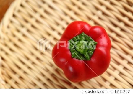 夏季蔬菜(辣椒粉) 夏季蔬菜(辣椒粉) 11731207