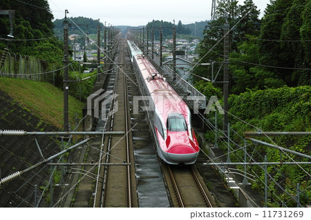 E6 series Komachi 11731269