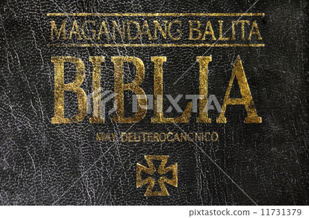 The Bible The Bible 11731379