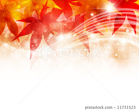 槭樹秋葉背景 11731523