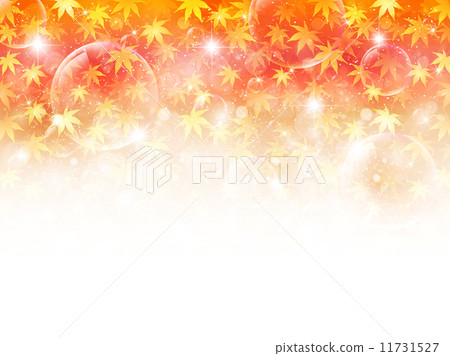 槭樹秋葉背景 槭樹秋葉背景 11731527