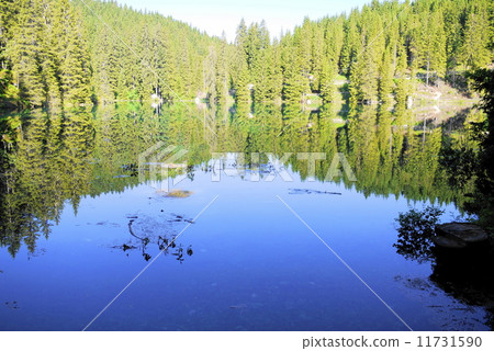 Carezza al lago Carelsa al lago Karersee Carezza al lago Carelsa al lago Karersee 11731590