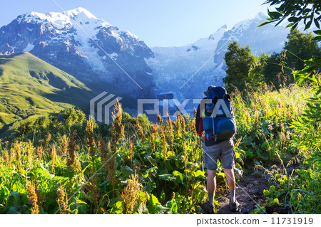 Hike in mountains 11731919