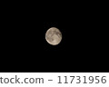 月 11731956