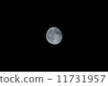 月 11731957