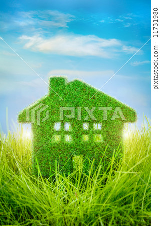 House on the green grass 11731980