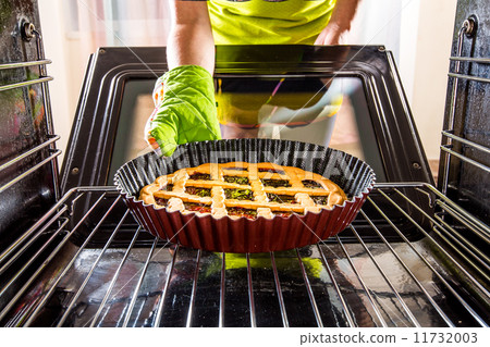 Cooking in the oven at home. 11732003