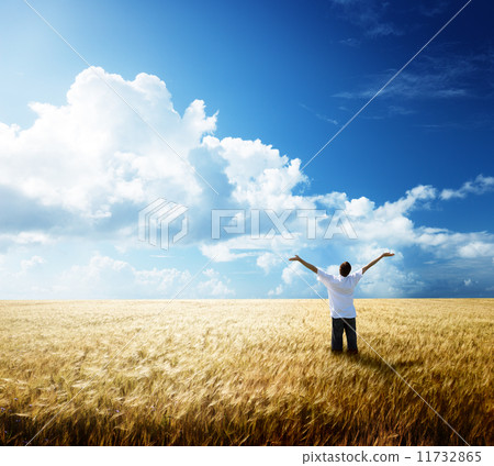 happy young man rest on wheat field 11732865