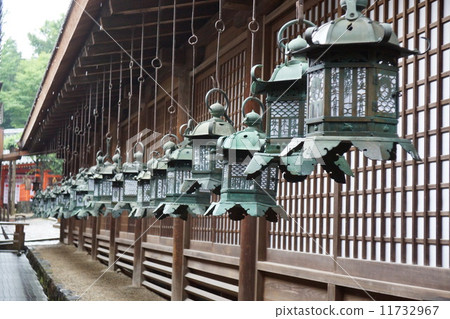  Kasuga Taisha Lantern 11732967