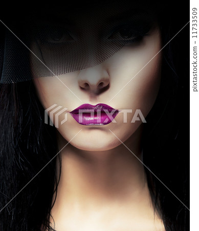 Stylish Aristocratic Woman with Dark Veil Stylish Aristocratic Woman with Dark Veil 11733509