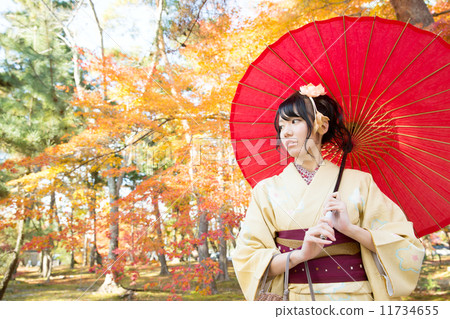 秋季葉子和和服婦女 秋季葉子和和服婦女 11734655