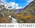 搖籃山遷徙的登山塔斯馬尼亞島 11734683