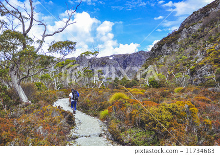 搖籃山遷徙的登山塔斯馬尼亞島 11734683