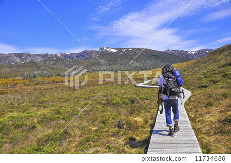 Cradle Mountain Trekking Mountain Climbing Tasmania 11734686