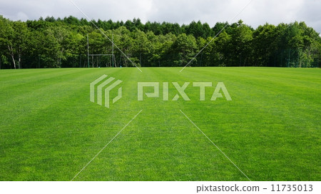 Shinshu lawn 11735013