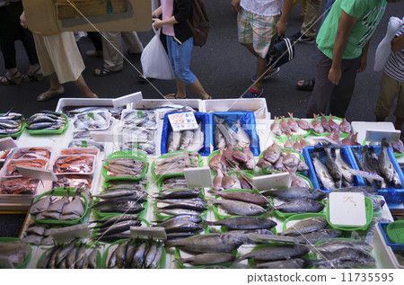 Ameyoko-721 [Tokyo Tourist Attraction] 11735595