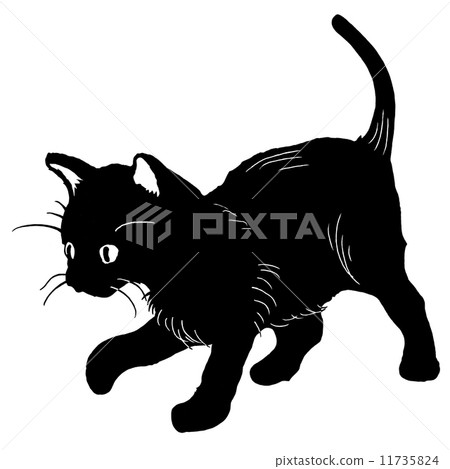 Black cat cat cat black and white cute Black cat cat cat black and white cute 11735824