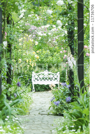 Rose Arch Bench Rose Garden Rose Garden Stock Photo 11736706