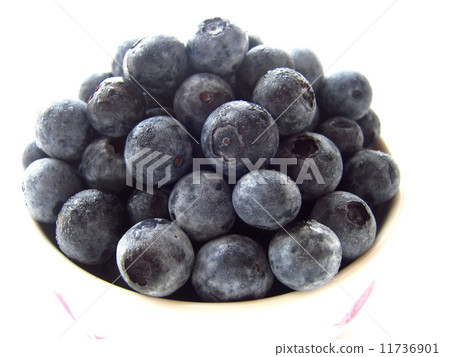 藍莓 11736901